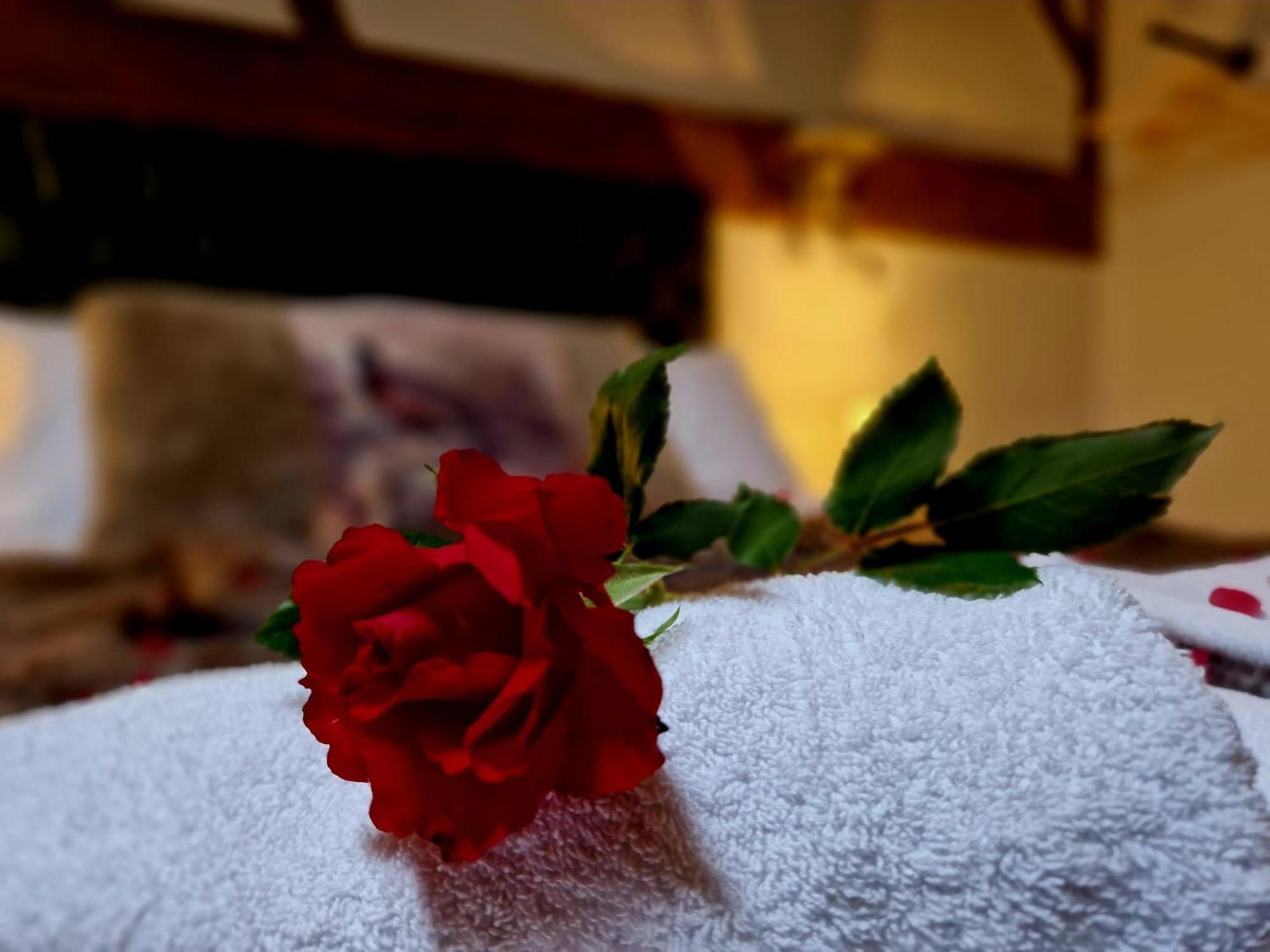 The Hamilton - The Studio Luxury Holiday Let'S Scorton  Экстерьер фото